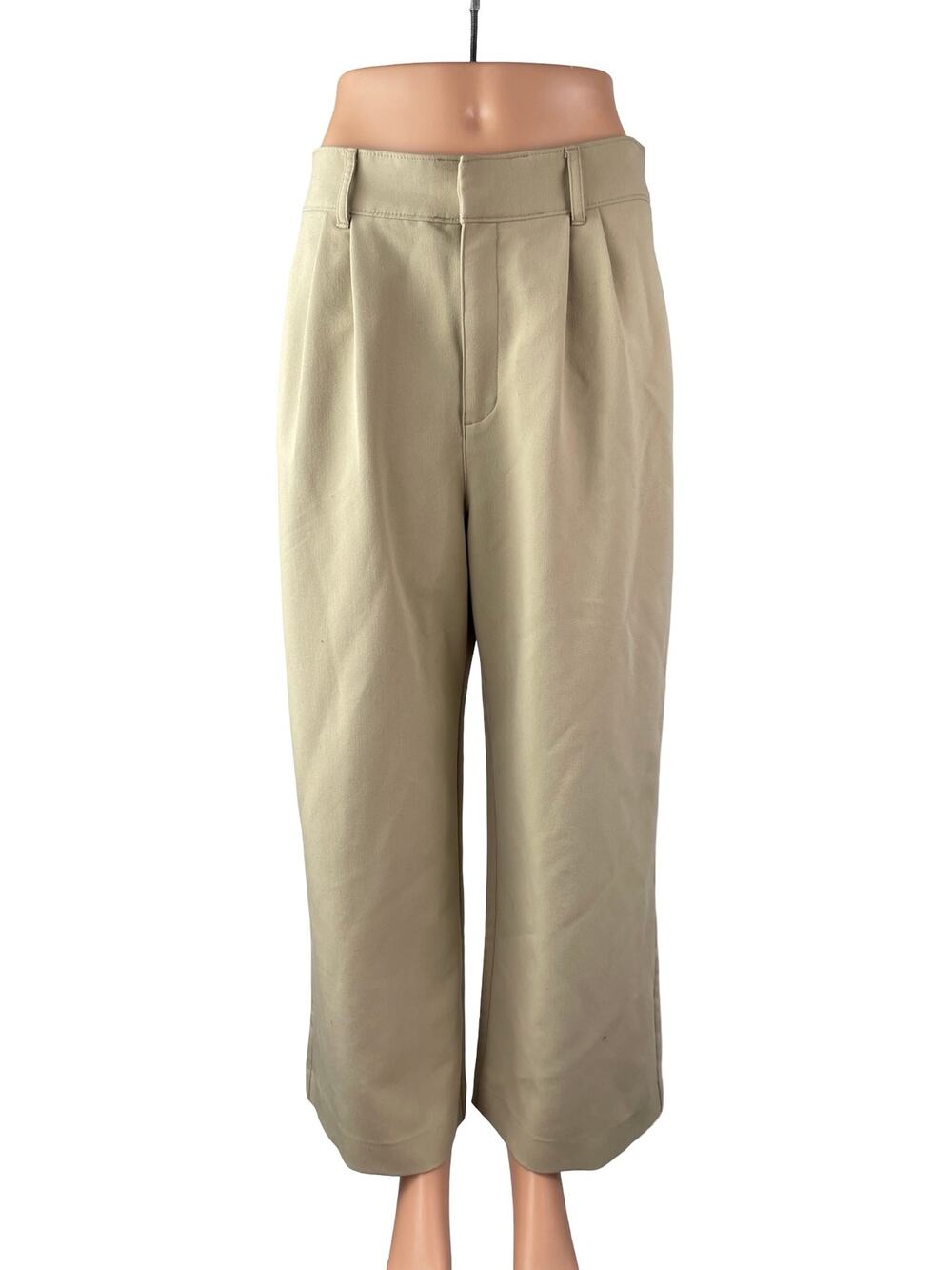 Abercrombie & Fitch Women's Beige Pleated High Rise Wide Leg Trousers Pants M